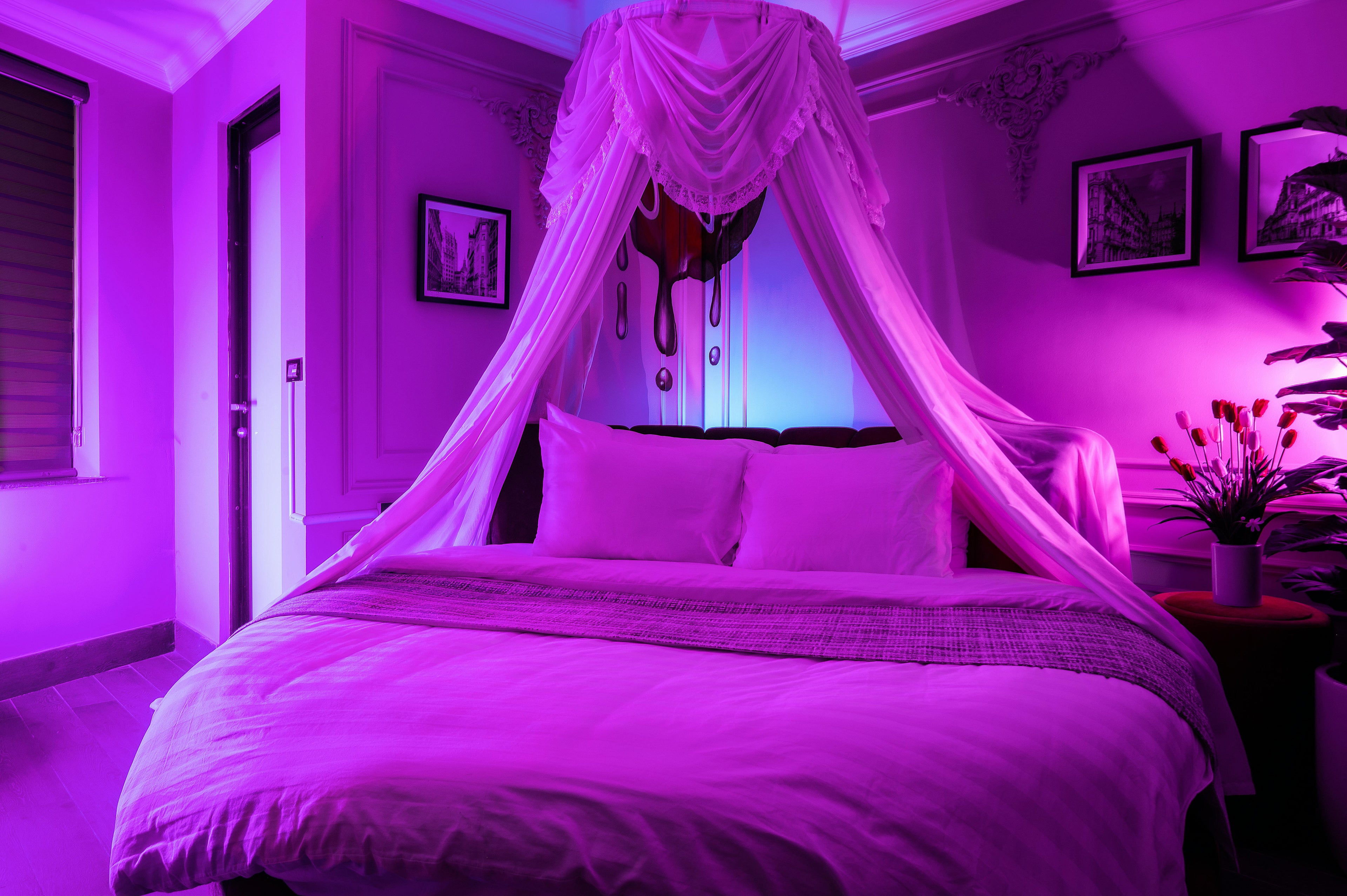 LED Strip Lights - RGB Color Changing with App Control & Music Sync | 16.4FT / 32.8FT